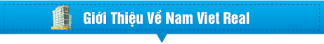 tieu de nam viet real 02